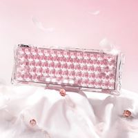 Bàn phím Hall Effect GravaStar Mercury V60 - Crystal Rose ảnh  1