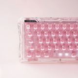 Bàn phím Hall Effect GravaStar Mercury V60 - Crystal Rose ảnh  4